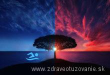 Strom leto, zima, otužovanie a plávanie, zdroj: pexels.com