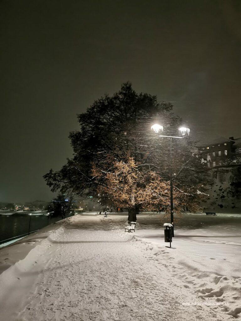 Sneh v meste, Autor: Barbora Mäčková Balatova